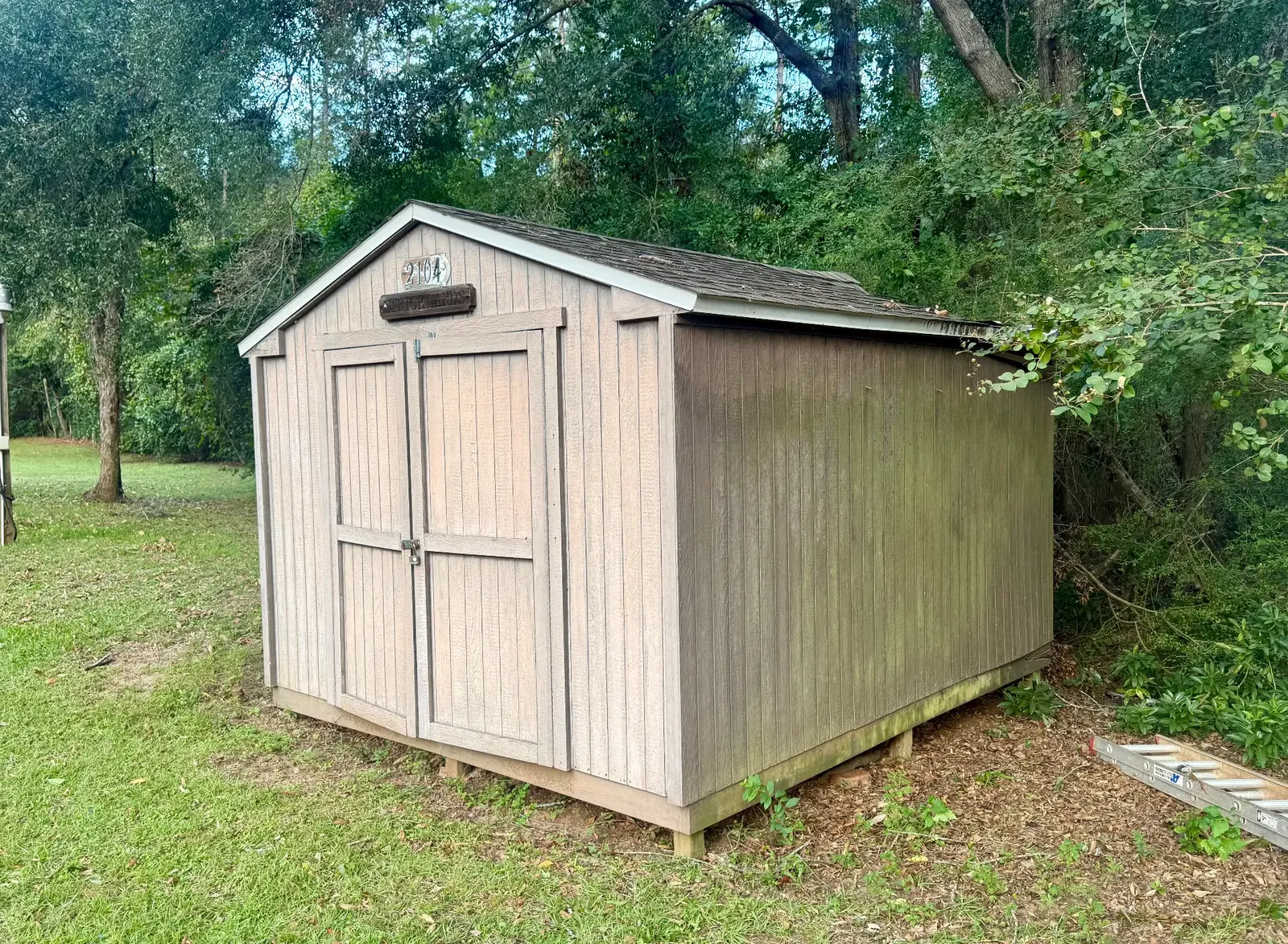 Intact gray gabled wood shed on supports beside trees before demolition