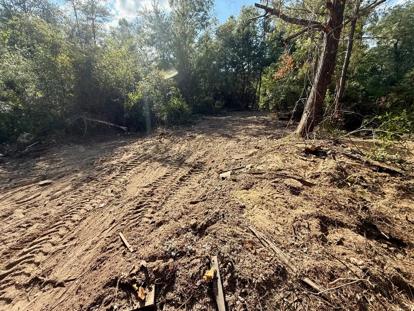 Bare dirt with tire tracks where the debris was removed, a few small scraps left, trees around the edge