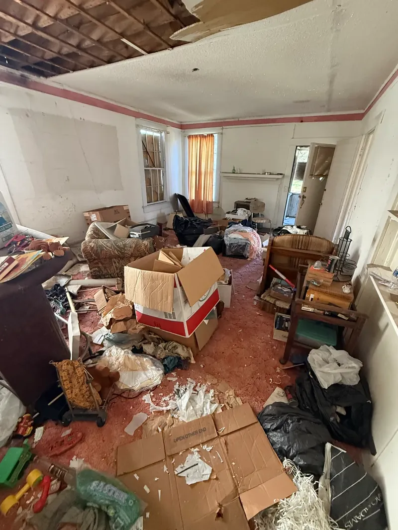 Cluttered room with boxes, furniture, and scattered contents piled across a pink carpet